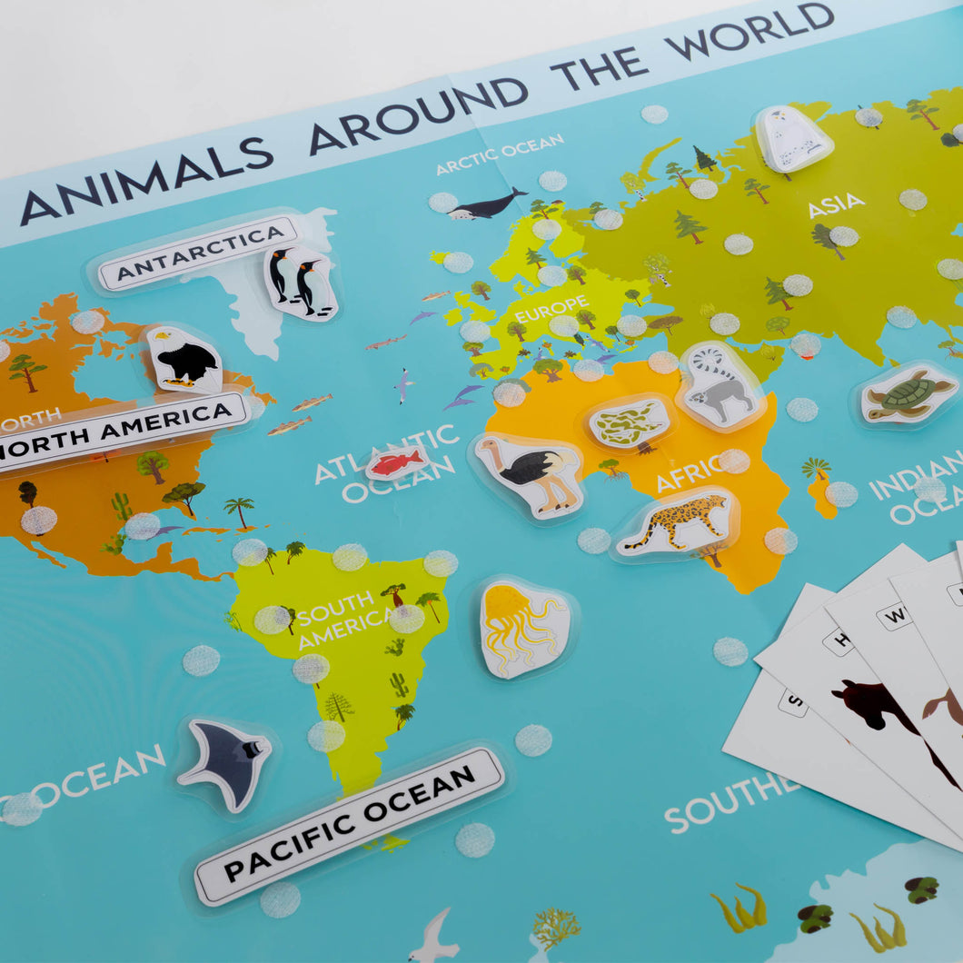 Animals Around the World