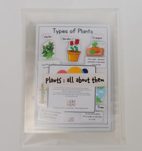 Load image into Gallery viewer, Plants : all about them
